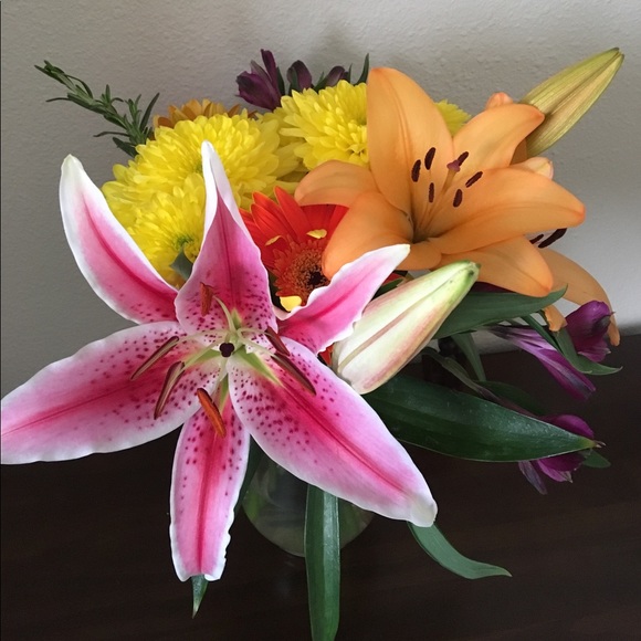 Meet your Posher, Elizabeth - Picture 1 of 1